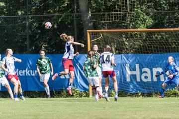 Bild 274 - wBJ Hamburger SV - VfL Wolfsburg : Ergebnis: 5:1